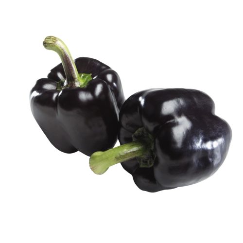 Poivrons violets