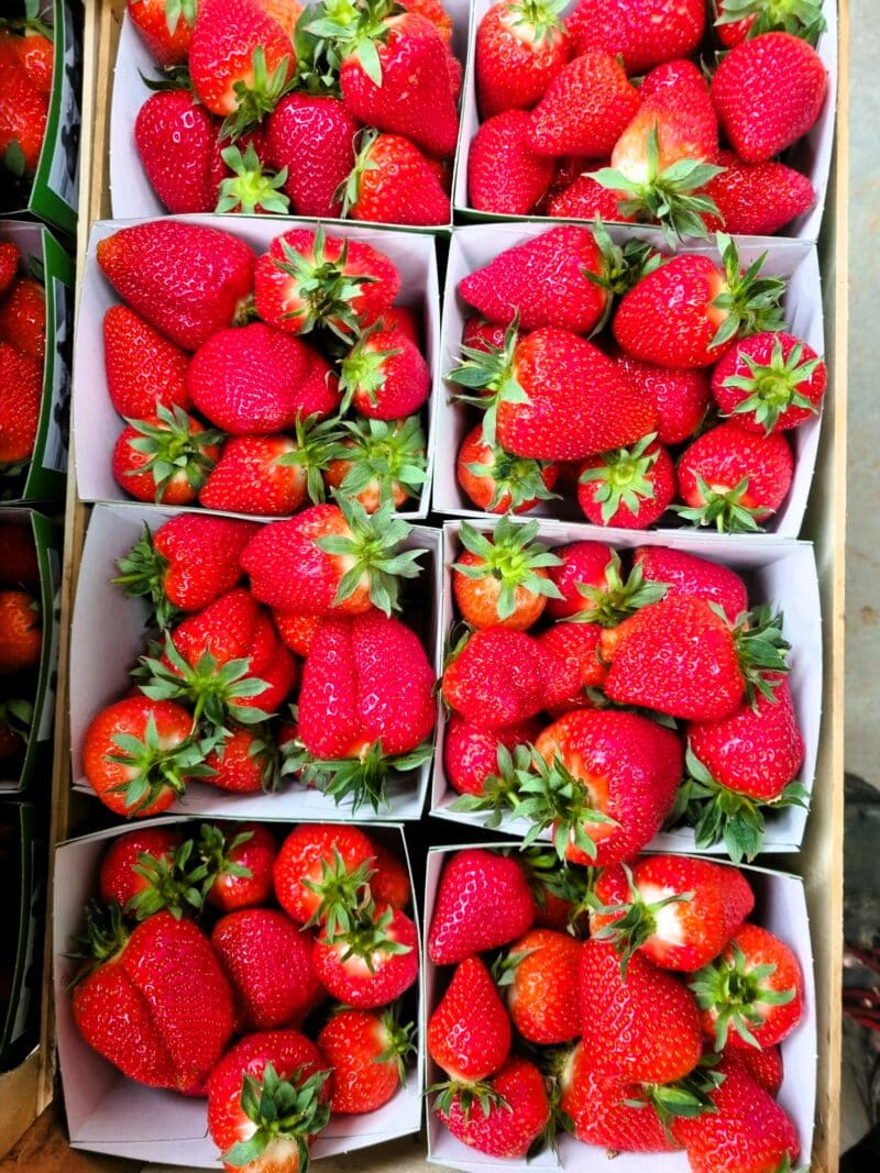Fraises – Image 3