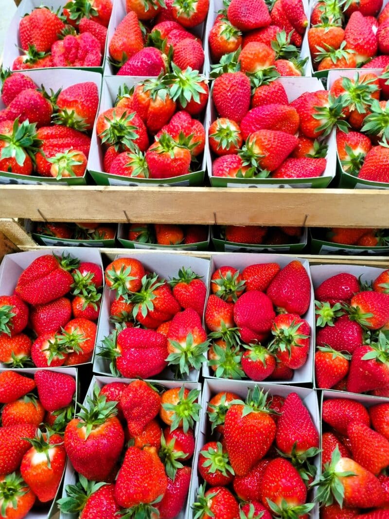 Fraises – Image 2