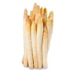 Asperges blanches