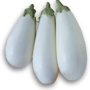 Aubergines blanches