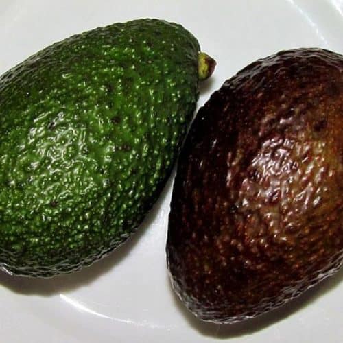 Avocat