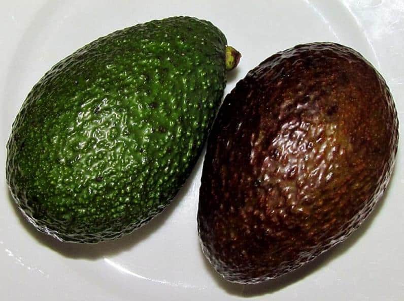 Avocat