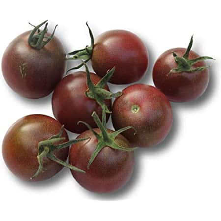 Tomates cerises ' Black-cherry '