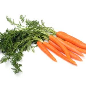 Carottes fanes / botte