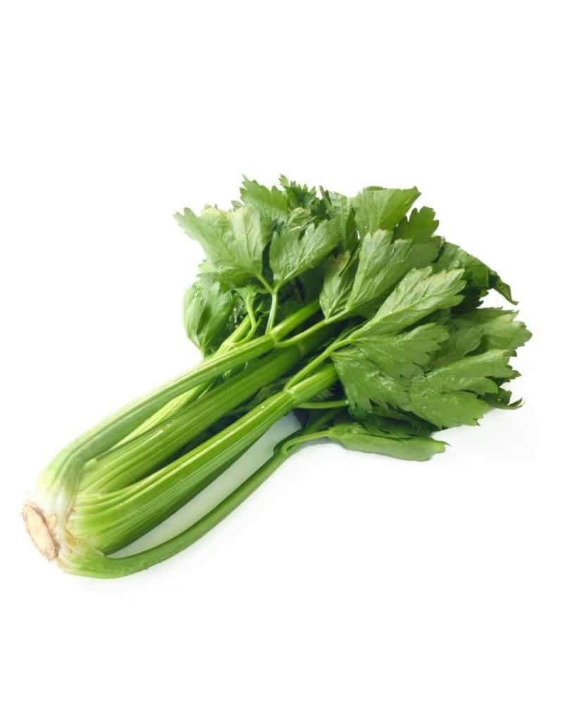 Céleri vert