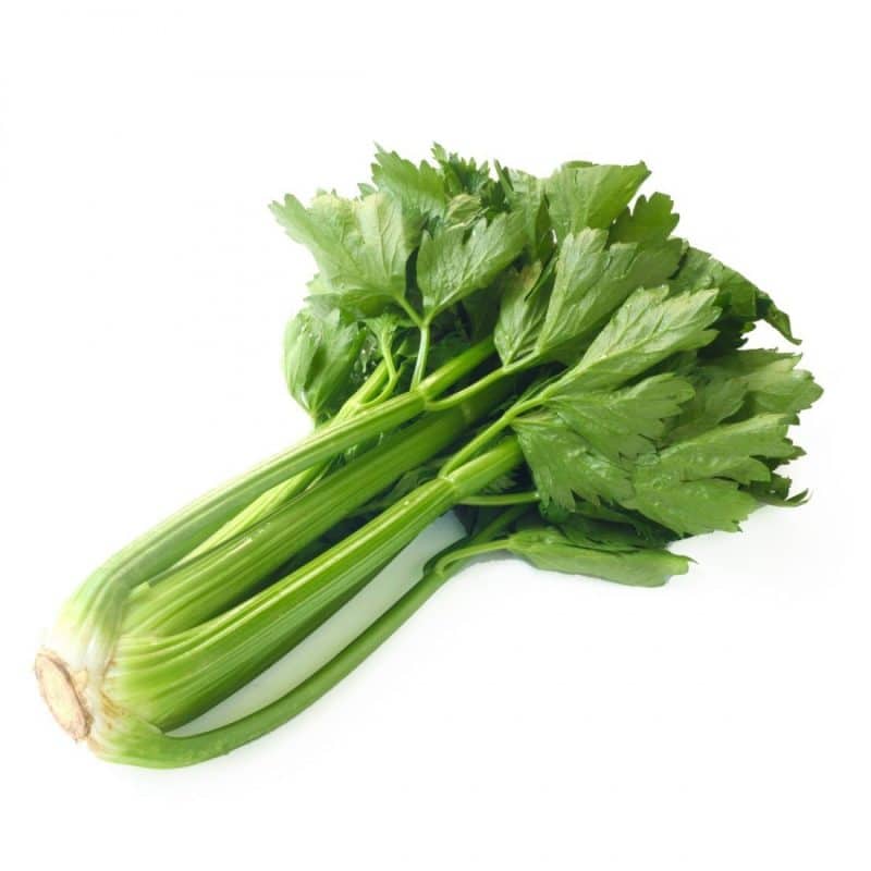 Céleri vert