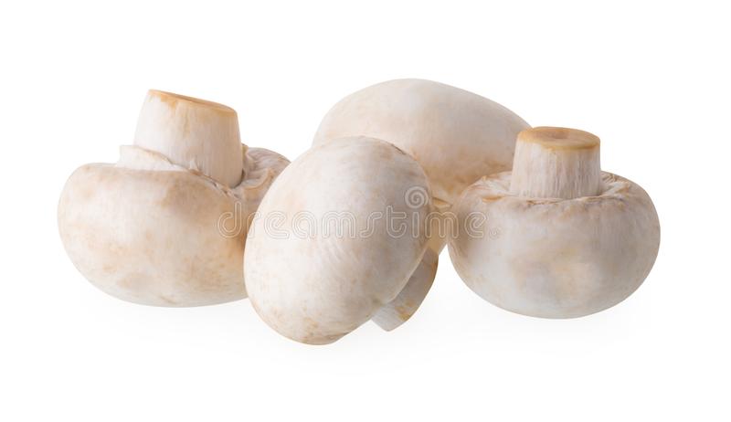 Champignons de Paris blanc