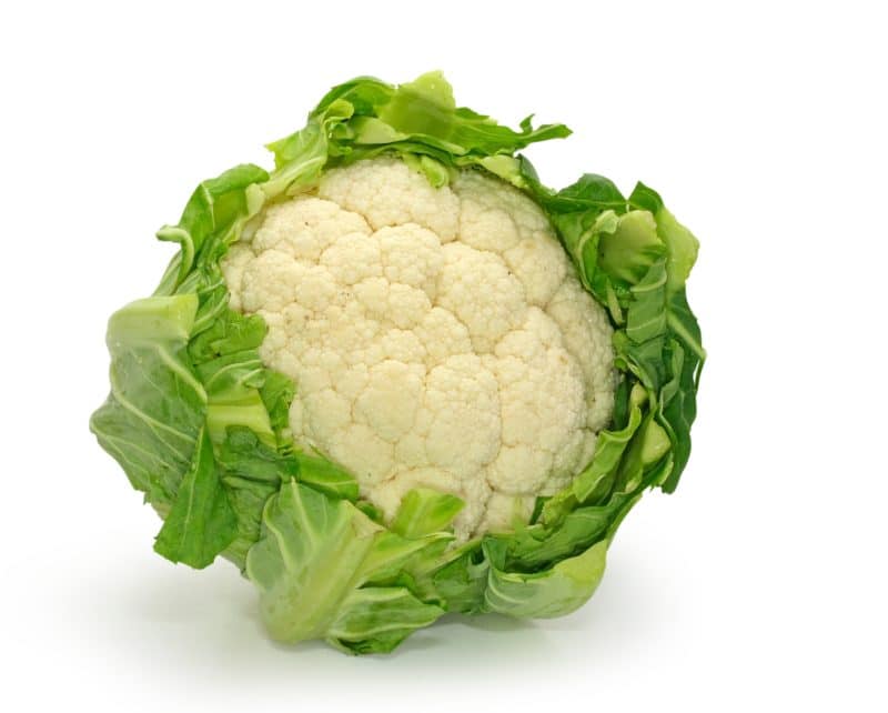 Chou fleur blanc (Petit)