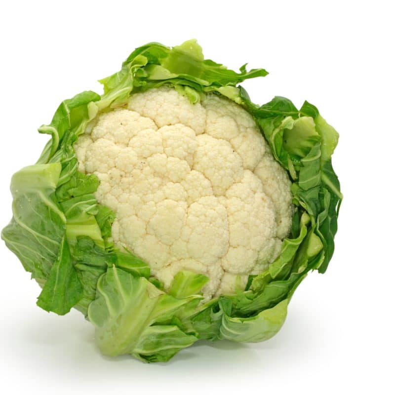 Chou fleur blanc (Petit)