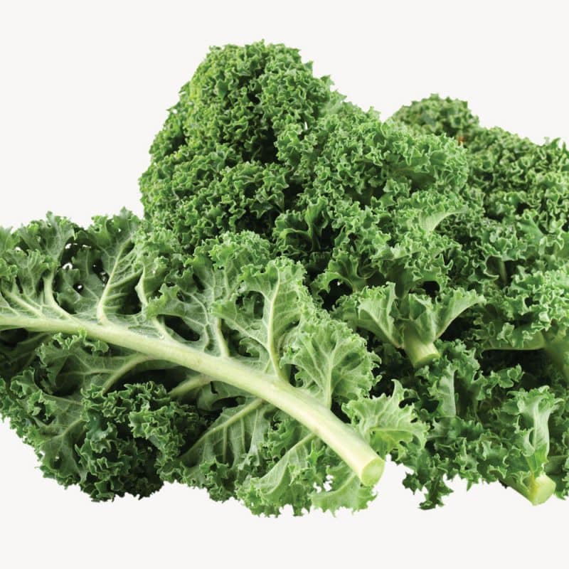 choux kale vert