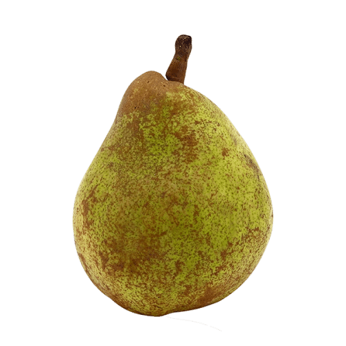 Poire 'Doyenné du Comice'