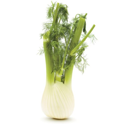 Fenouil