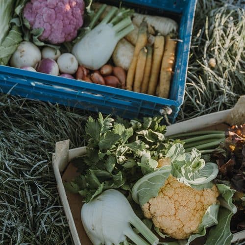 Panier légumes de la semaine à 15,00 € (grand)