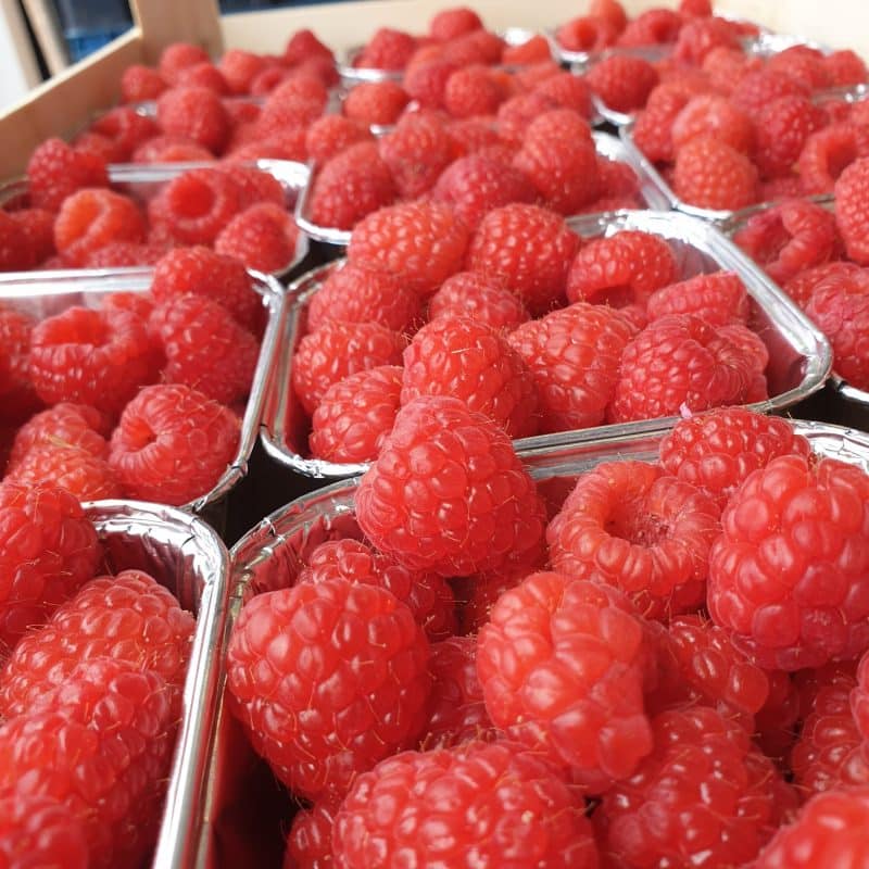 Framboise