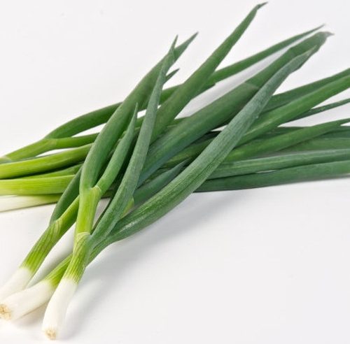 Oignons tiges ou ciboules