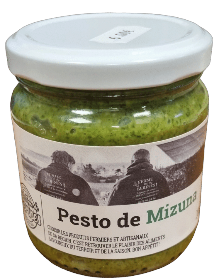 Pesto de mizuna