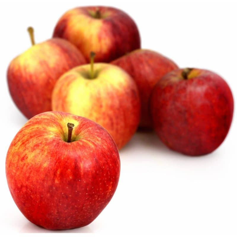 Pommes ELSTAR