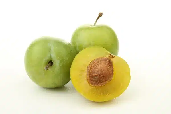 Prune reine-claude