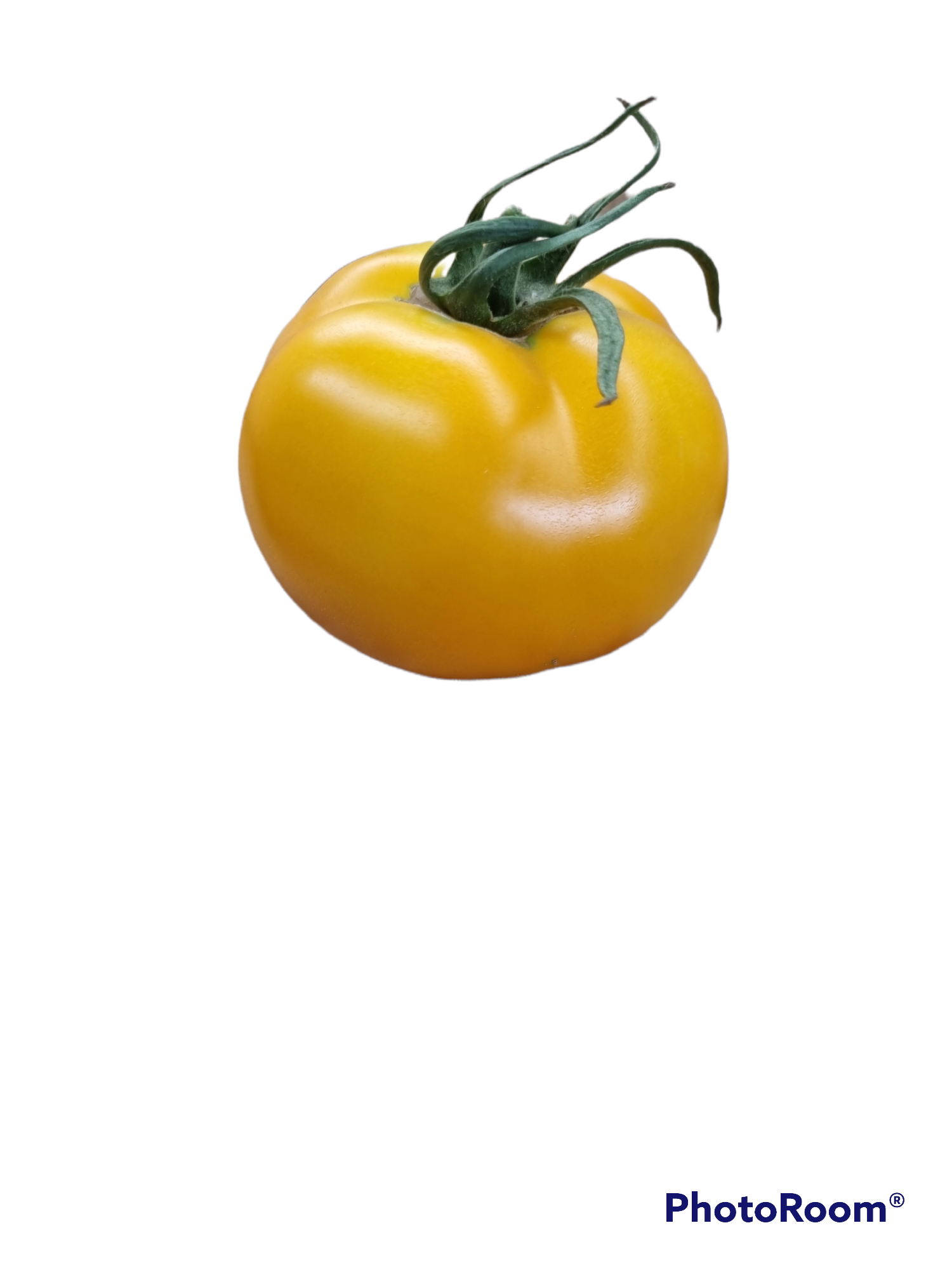 Tomates jaune ferme