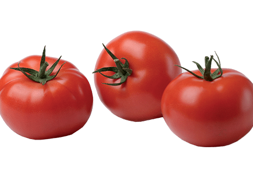 Tomates 'Classic'